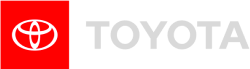 polish&passions - TOYOTA Logo
